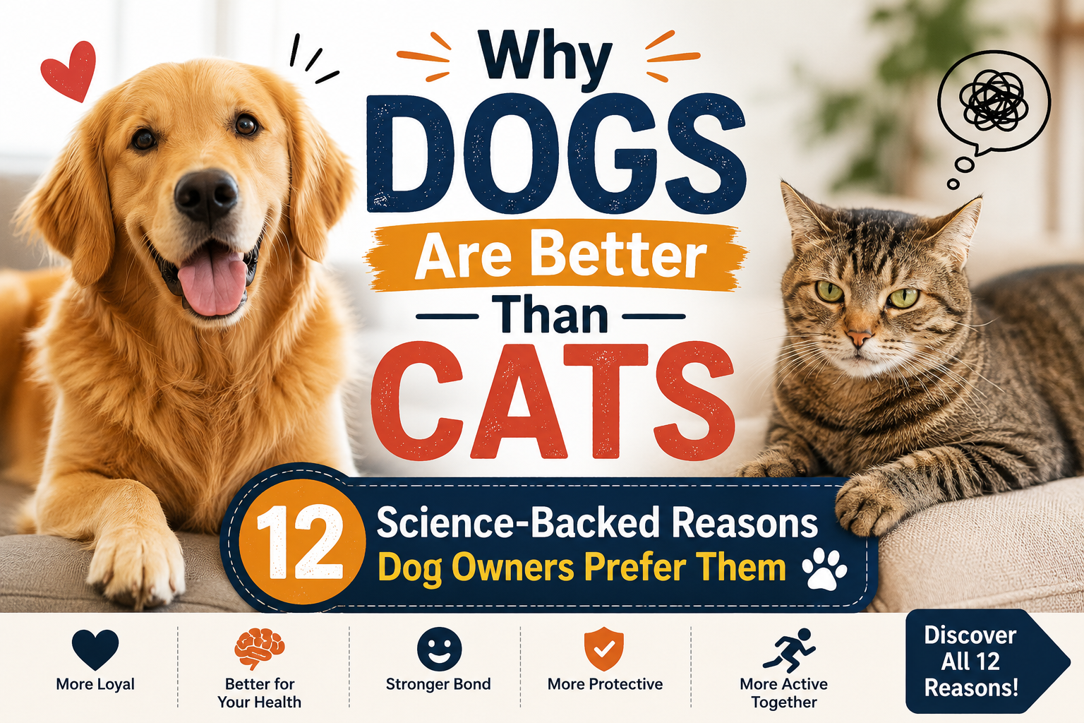 Why Dogs Are Better Than Cats